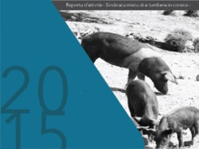 Rapport d'activité du SMAC 2015 Rapport d'activité du SMAC 2015