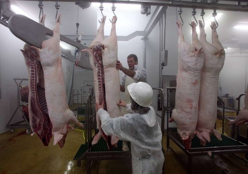 CORSE-MATIN : Cozzano : Un abattoir inauguré aux normes européennes