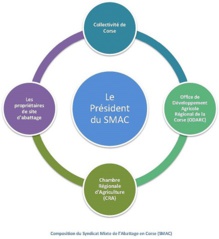 Les membres constitutifs du SMAC Les membres constitutifs du SMAC