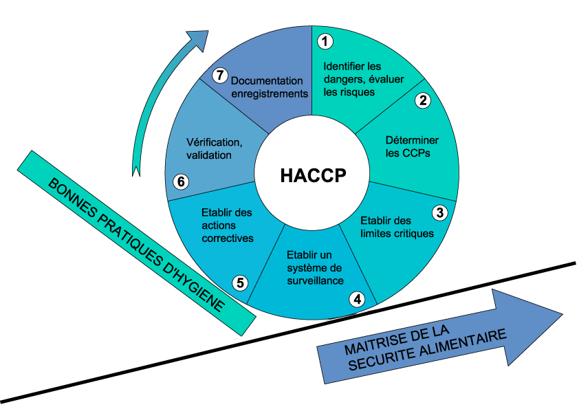 L'HACCP L'HACCP