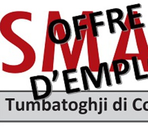 DIRECTEUR(TRICE) D'ABATTOIR - Abattoir de Ponte-Leccia / Abattoir de Porto-Vecchio