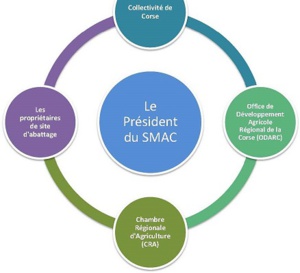 Les membres constitutifs du SMAC